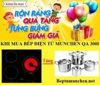 Báo giá mới nhất bếp điện từ Munchen QA 300I